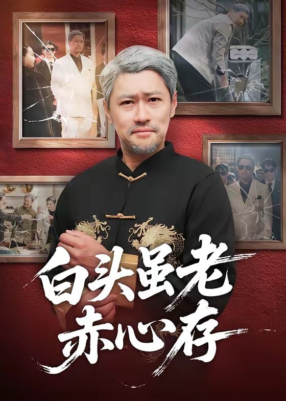 白头虽老赤心存-都市日常海报