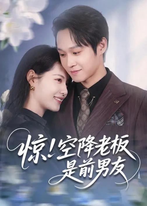 惊空降老板是前男友-现代甜蜜