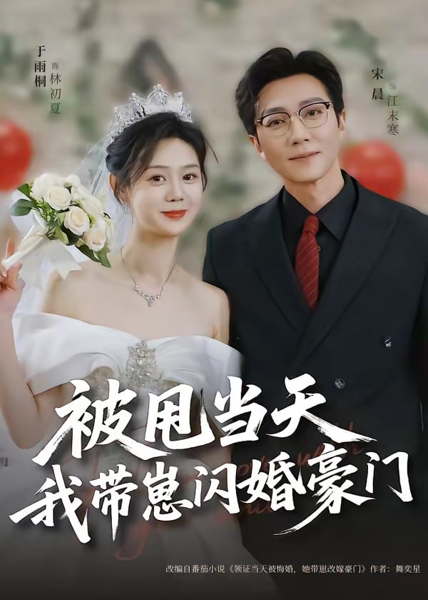 被甩当天我带崽闪婚豪门-都市爱情海报