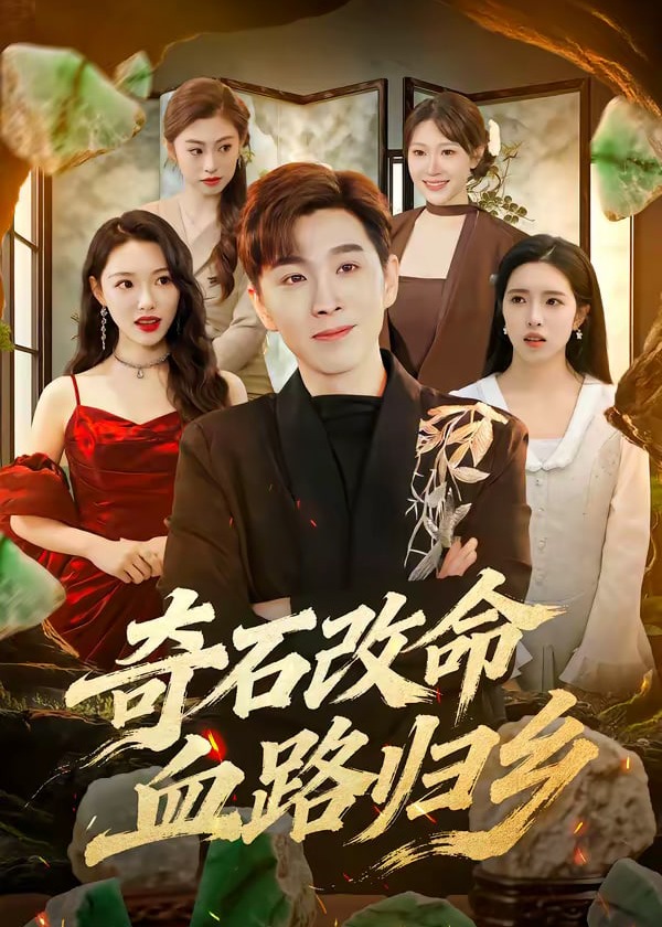 奇石改命血路归乡-强者归来