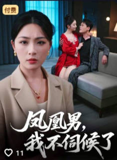 凤凰男我不伺候了-都市言情海报