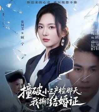 撞破小三产检那天我撕了结婚证-现代都市海报