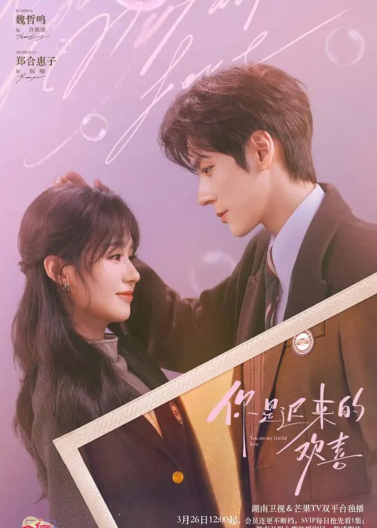 你是迟来的欢喜