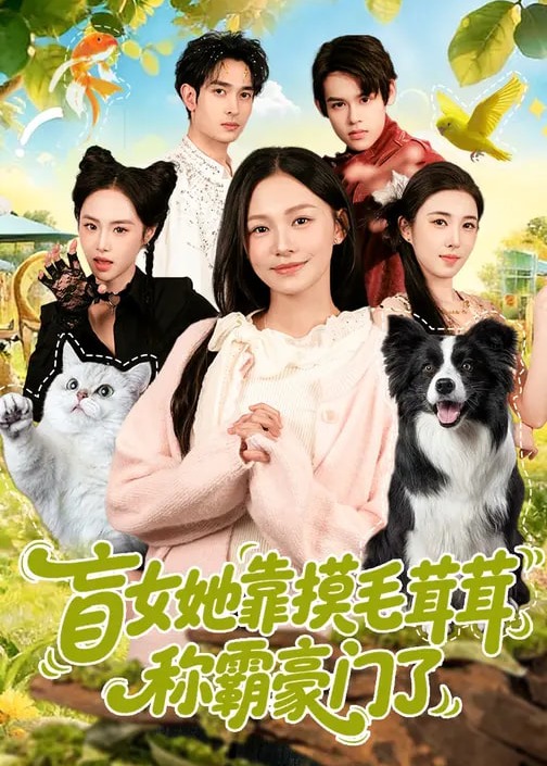 盲女她靠摸毛茸茸称霸豪门了-奇幻萌宝