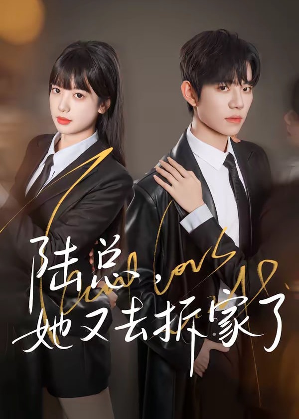 陆总她又去拆家了-都市言情海报