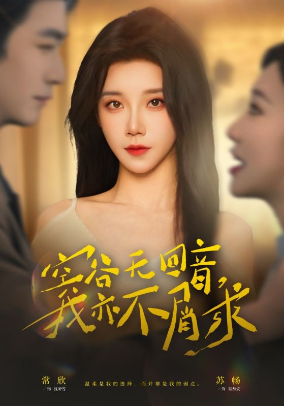 空谷无回音我亦不屑求-都市言情海报
