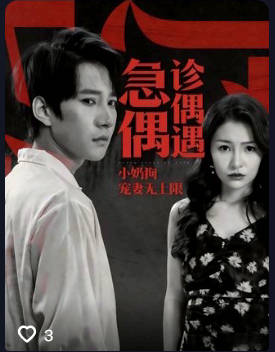 急诊偶遇小奶狗宠妻无上限-都市言情海报