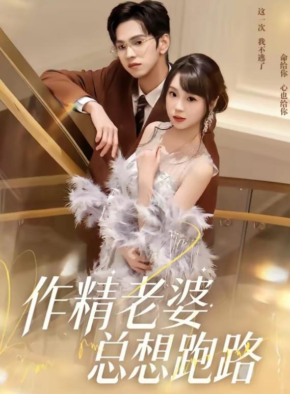 作精老婆总想跑路-都市言情海报