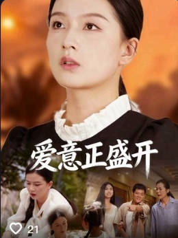 爱意正盛开-都市日常海报