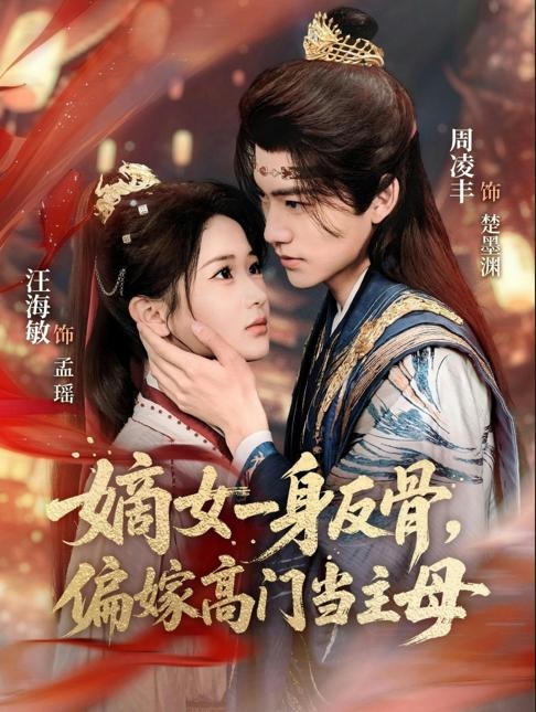 嫡女一身反骨偏嫁高门当主母-古代言情海报