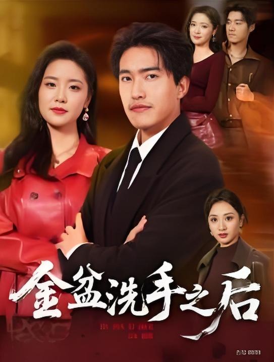 金盆洗手之后-都市言情海报