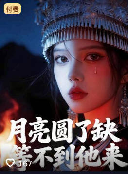 月亮圆了缺等不到他来-动漫合集海报