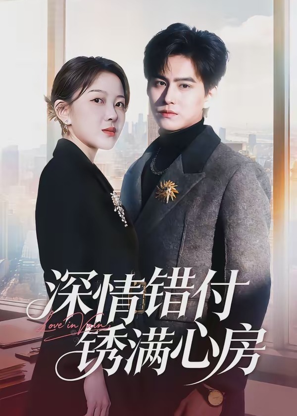 深情错付锈满心房-家庭情感海报