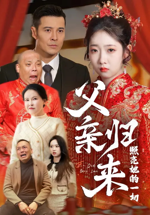 父亲归来照亮她的一切-家庭情感海报