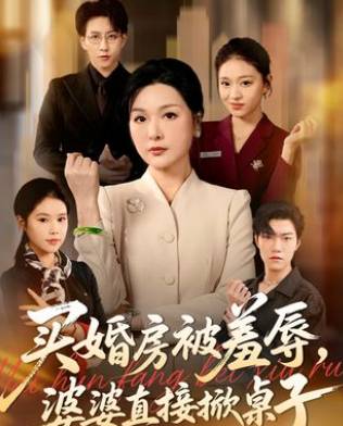 买婚房被羞辱婆婆直接掀桌子-家庭情感海报