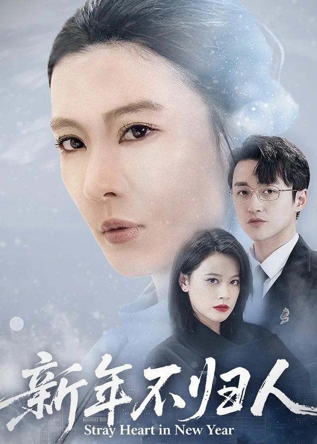 新年不归人-女性成长海报