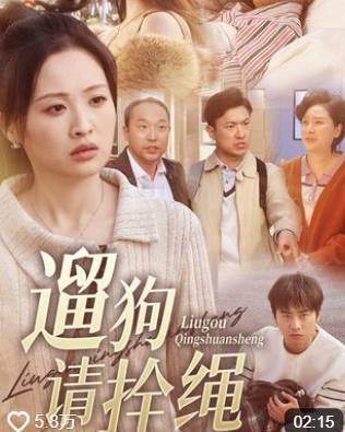 文明养犬一根狗绳引发的风波-都市日常海报