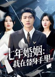 七年婚姻栽在替身手里-都市言情海报