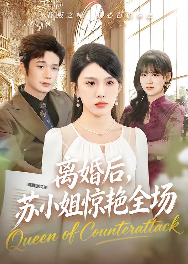 离婚后苏小姐惊艳全场-都市言情海报