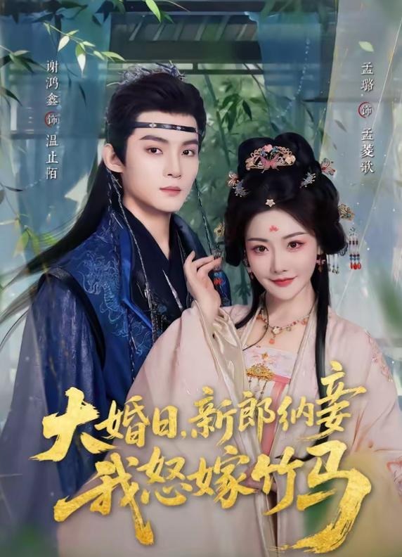 大婚日新郎纳妾我怒嫁竹马-古风言情海报