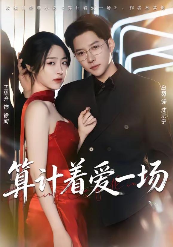 算计着爱一场-都市言情海报