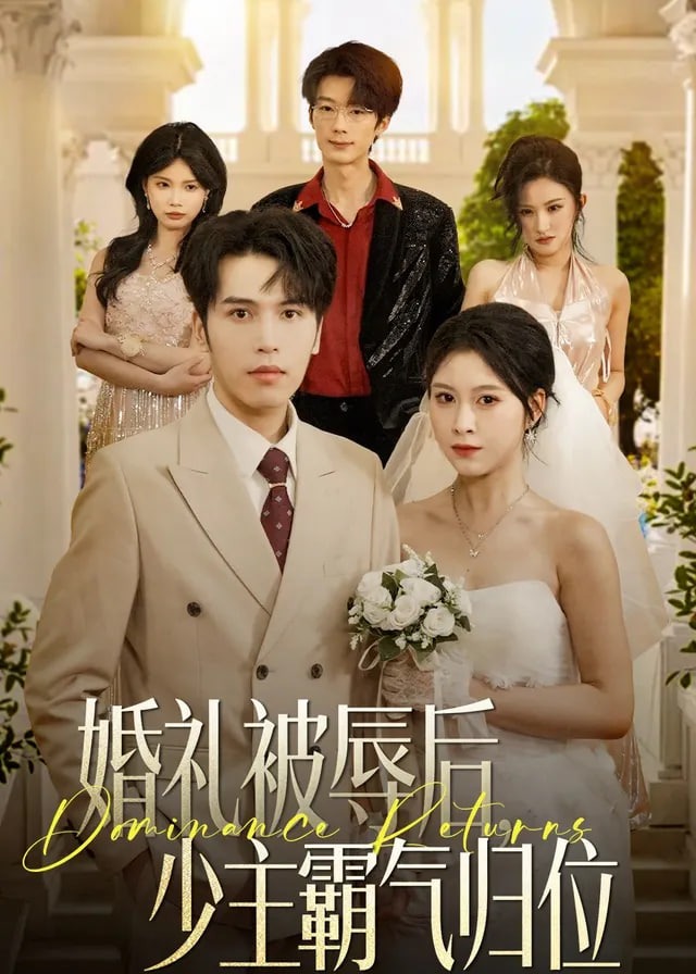 婚礼被辱后少主霸气归位-都市情感海报