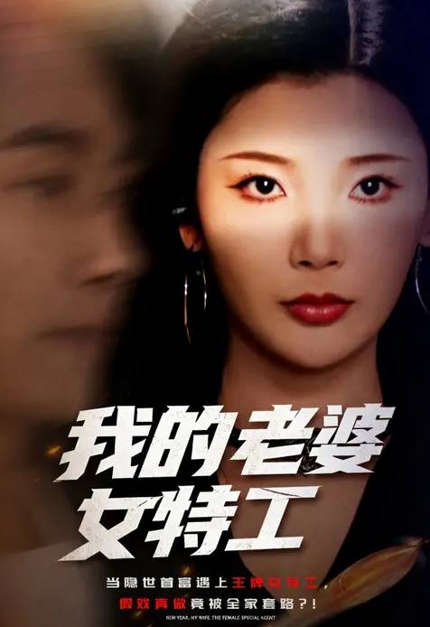 我的老婆女特工-都市言情海报