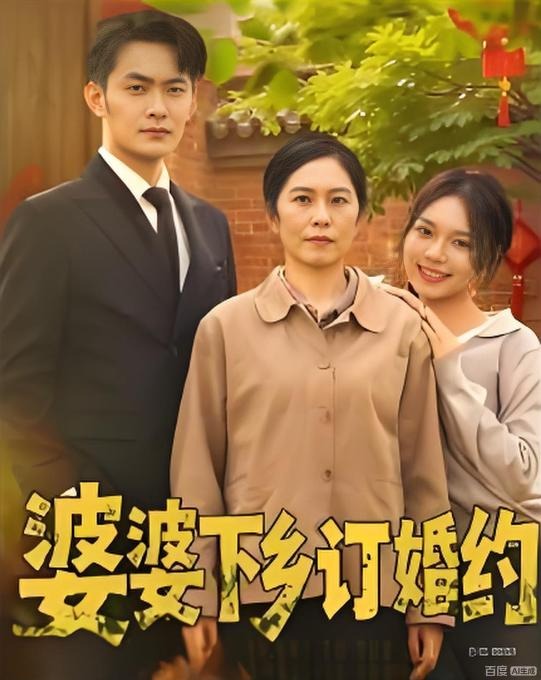 婆婆下乡订婚约-都市反转海报