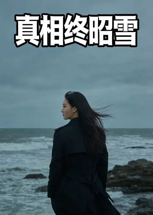 真相终昭雪-动漫合集海报