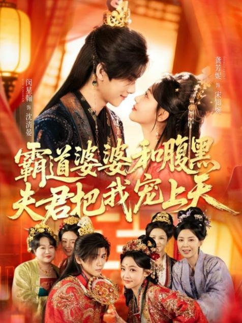 四个婆婆和腹黑夫君把我宠上天-古风穿越海报