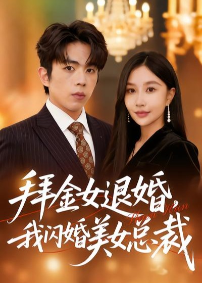 拜金女退婚我闪婚美女总裁-都市情感海报