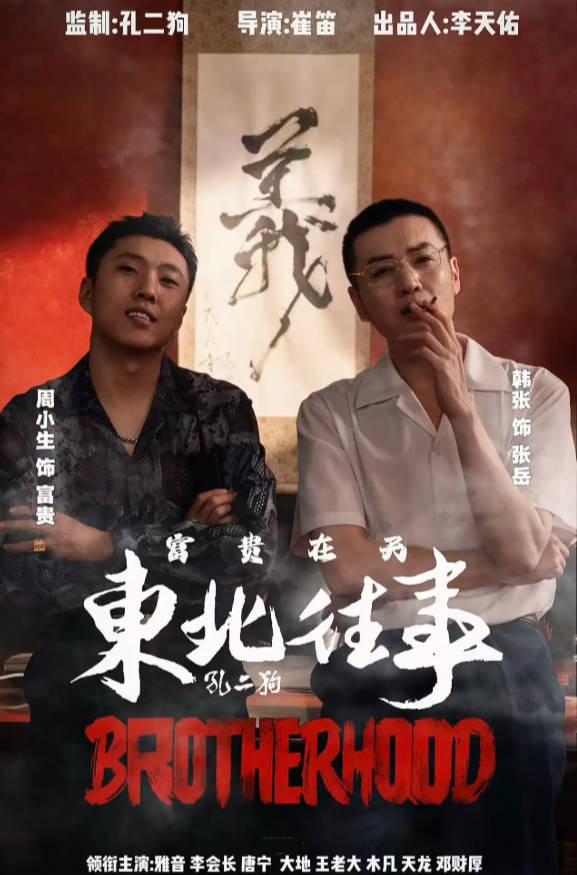 东北往事极道风云-都市日常海报