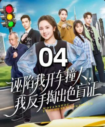 诬陷我开车撞人我反手掏出色盲证-都市逆袭海报