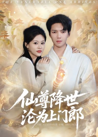仙尊降世沦为上门郎-奇幻爱情海报