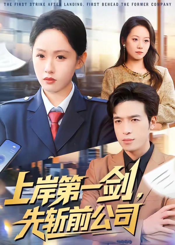 上岸第一剑先斩前公司-都市日常海报
