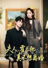 夫人霍总他真不想离婚-都市言情海报