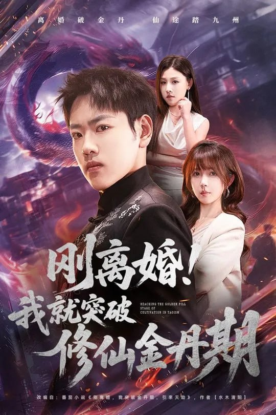 刚离婚我就突破修仙金丹期-奇幻异能