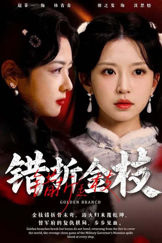 错折金枝-民国言情
