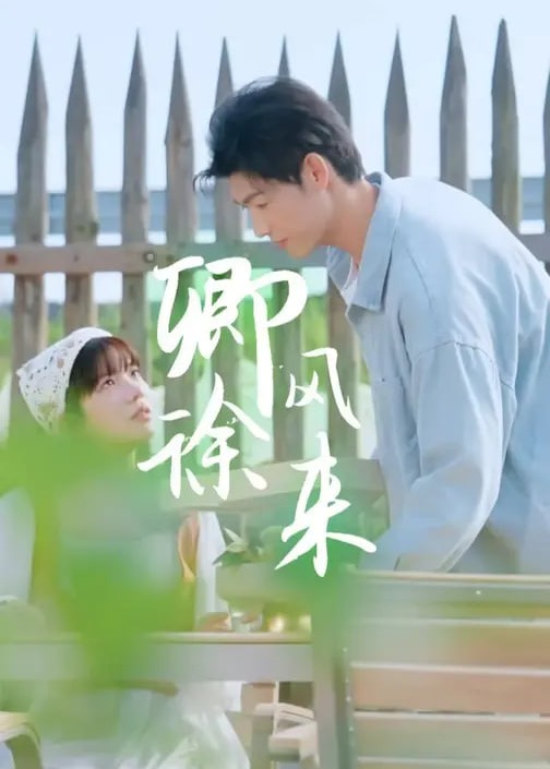 卿风徐来-现代言情