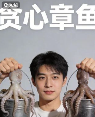 贪心章鱼-动漫合集