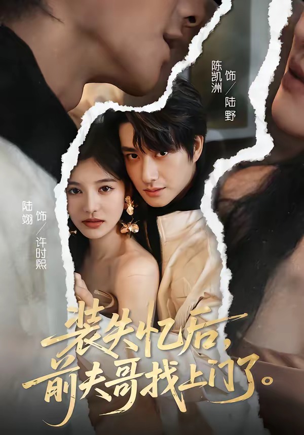 装失忆后前夫哥找上门了-都市言情