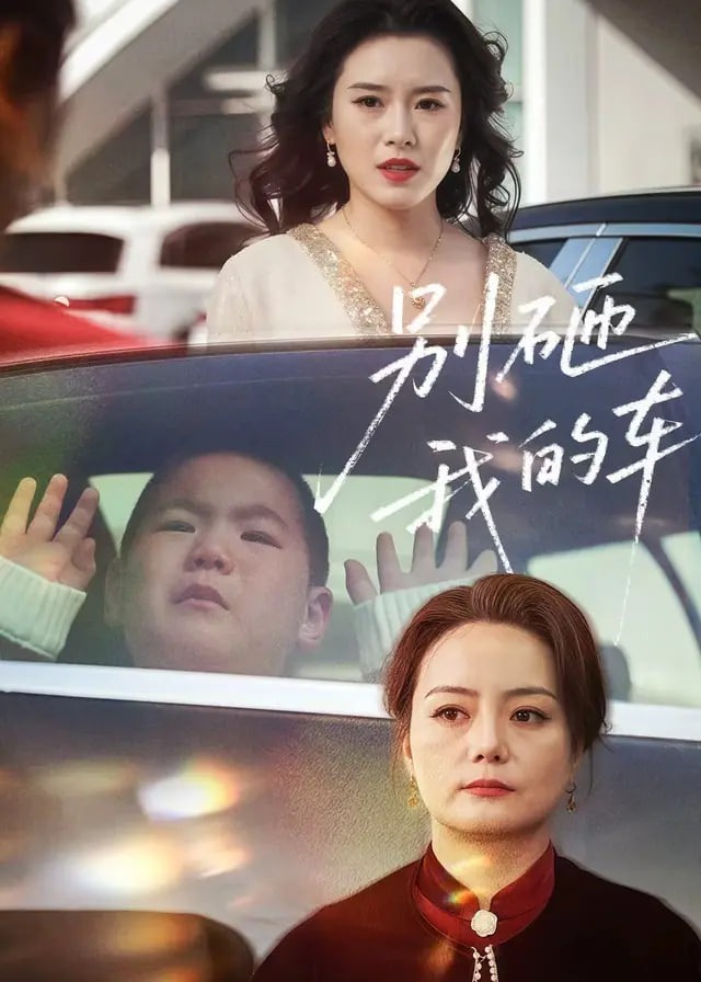 别砸我的车-都市日常