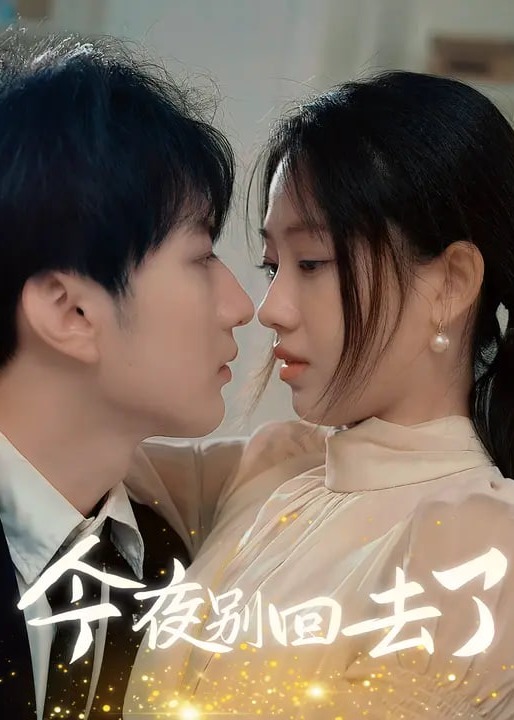 今夜别回去了-现代言情