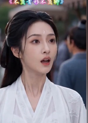失忆丞相的白月光-动漫合集