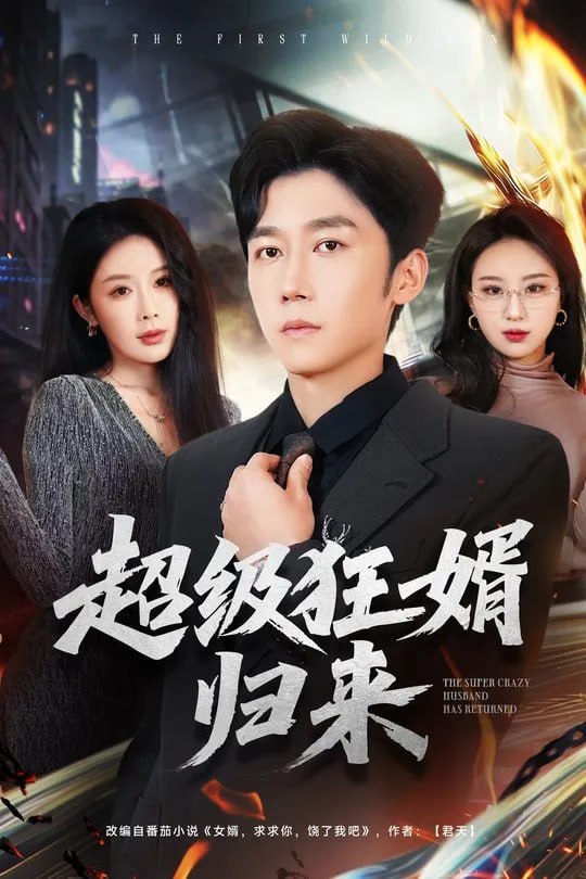 超级狂婿归来-都市逆袭海报