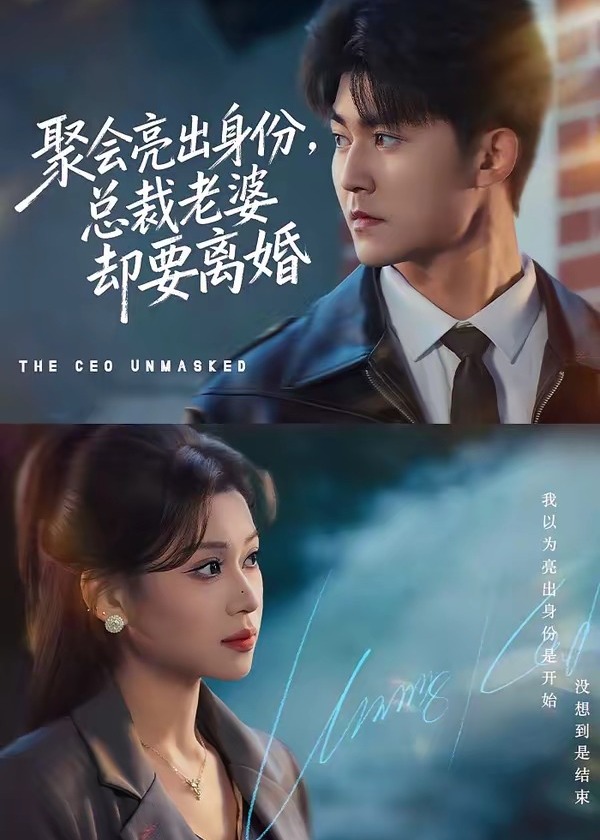 聚会亮出身份总裁老婆却要离婚-都市逆袭海报