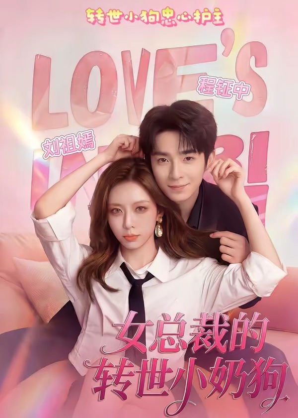 女总裁的转世小奶狗-现代甜蜜海报