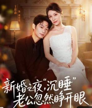 新婚之夜沉睡老公忽然睁开眼-都市言情海报