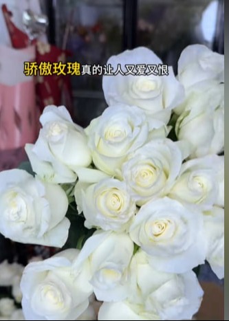 玫瑰折痕-都市日常