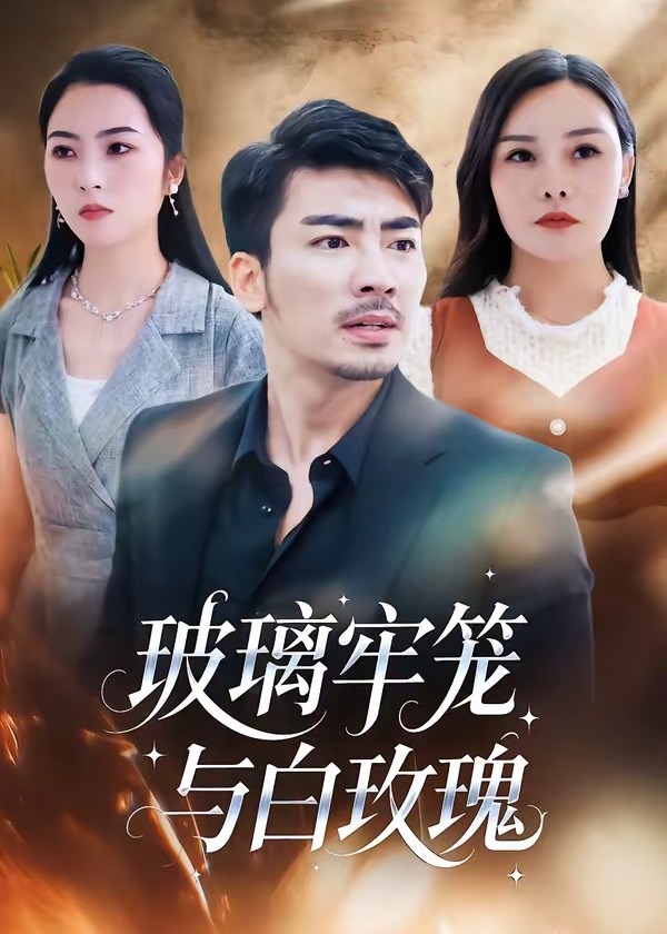 玻璃牢笼与白玫瑰-都市日常海报